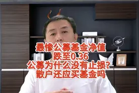 最惨公募基金净值跌至0.36！公募为什么没有止损？还应买基金吗视频封面