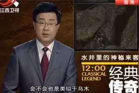 水井中惊现异物，不要阳光也能生长，专家一鉴定：灵芝