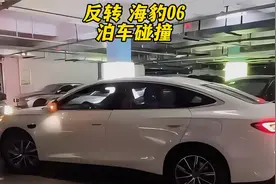反转!比亚迪海豹06天神之眼自动泊车,并未发生碰撞。