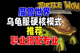 魔兽世界乌龟服硬核模式下职业搭配专业推荐说明视频封面