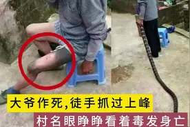 281. 大爷作死，徒手抓过山峰咬住大腿，村名眼睁睁看着身亡视频封面