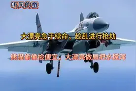 熊猫太硬，轻易讨不到便宜，只能背后安插几颗钉子(听风的蚕)视频封面