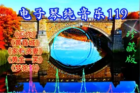 电子琴纯音乐119“秋天的枫叶”
