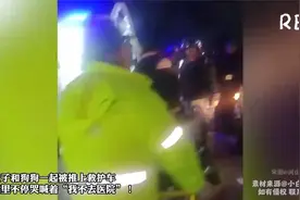 女子和狗狗一起被推上救护车 嘴里不停哭喊着“我不去医院”视频封面