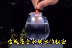 一滴水让你的手机摄像头变显微镜，快和孩子一起做这些科学小实验视频封面