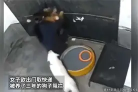 女子欲出门取快递，被养了三年的狗子阻拦视频封面