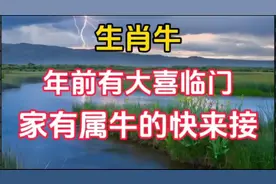生肖牛年前有大喜临门，家有属牛的快来接．千万别错过了！251视频封面