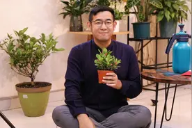 虎刺梅怎么养？园艺师教你，虎刺梅的详细养护技巧