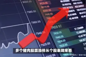 猪肉股暴涨！明年利润被看好视频封面