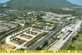 提高通行效率  三亚南山景区停车场实施分类管控视频封面