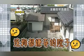 被狗都嫌弃的家！视频封面
