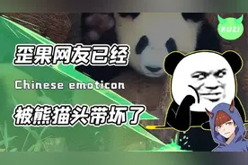 熊猫人脸表情包竟风靡国外？奇葩的文化输出，让外国网友三观尽歪视频封面