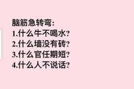 脑筋急转弯：什么牛不喝水？什么官任期短？什么人不说话？视频封面