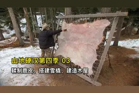 山地硬汉：用麋鹿角做刮刀鞣制鹿皮，打造雪橇开辟新伐木营地视频封面