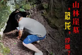 成都附近山林现崖墓，神秘浮雕像“恐龙”，发现罕见陶棺视频封面