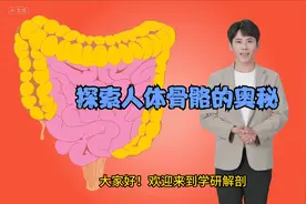 人体解剖学，骨骼系统解剖，探索人体骨骼的奥秘视频封面