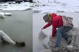 冰川内惊现“人腿”？还穿着雪地靴！驴友冒险施救发现更寒心真相视频封面