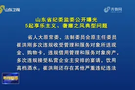 山东省纪委监委公开曝光5起享乐主义、奢靡之风典型问题视频封面