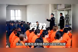 我国为何废止劳动教养制度？视频封面