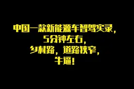 中国一款新能源车智驾实录，5分钟左右，乡村路，道路狭窄，牛逼