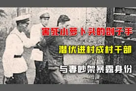 杨进兴：杀小萝卜头刽子手，潜伏进村成村干部，与妻吵架暴露身份