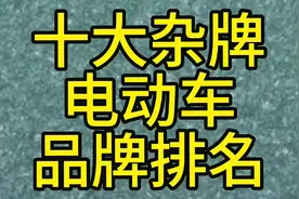 十大杂牌电动车品牌排名