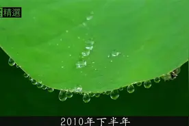 柳州女神莫菁不雅视频被男友发至网络后男友入狱她怎样了 1