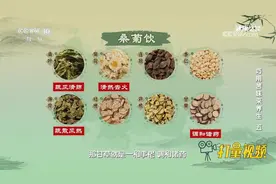 桑叶、菊花、连翘等组成的桑菊饮，具有疏风清热、宣肺止咳的功效视频封面