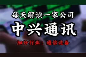 深度挖掘中兴通讯背后的逻辑视频封面