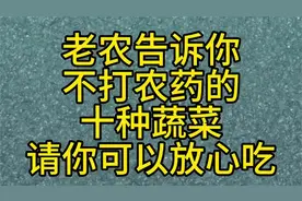老农告诉你不打农药的十种蔬菜请你可以放心吃视频封面