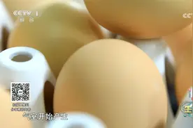 A级鸡蛋跟普通鸡蛋有何区别？