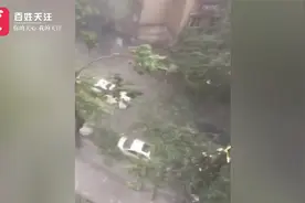 正面袭击！台风杜苏芮”登陆福建泉州 树木被吹倒 铁皮屋顶被掀翻视频封面