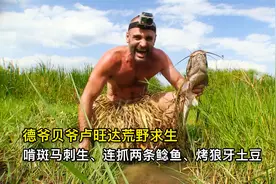 德爷贝爷卢旺达荒野求生，啃斑马刺生、连抓两条鲶鱼、烤狼牙土豆
