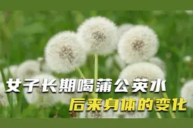 山东52岁女子，因长期饮用蒲公英泡水，后来身体状况如何？视频封面