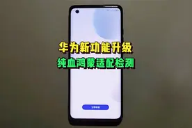 可否升级纯血鸿蒙系统，华为全新神器一键查询！