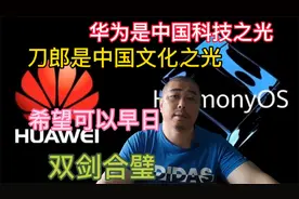 华为是中国科技之光，刀郎是中国文化之光，刀郎是华为最佳代言人视频封面