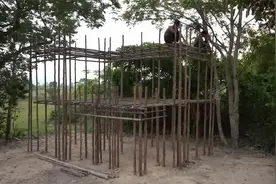 大哥靠过硬生存技巧，独自流浪荒野生活，庇护所不得了几十年不坏视频封面