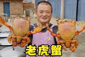 1870买12个老虎蟹，阿胖山做胡椒老虎蟹，满满都是蟹肉真好吃