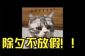 除夕不放假！！！我：&*@**#*#@%%**&?*…&视频封面