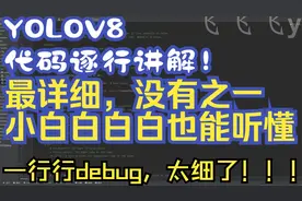YOLOv8模型详细解释，逐行debug讲解，真的太细了，小白也能听懂