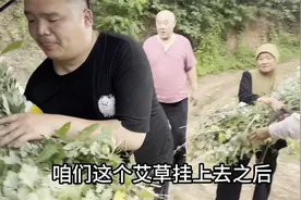 端午节艾叶菖蒲要这么挂，你们老家有这样的习俗吗视频封面
