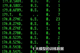 大模型的训练数据解决方案深度分析 2024视频封面