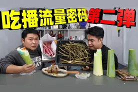 吃播流量密码第二期，没人吃的茄子杆卖的比茄子还贵，有多好吃？
