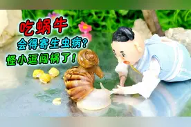 怪小逗带的蜗牛有毒？狍子被紧急送医院，谁的错？视频封面