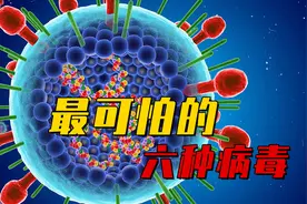 全球最可怕的6种病毒，狂犬病只能排第四，第一名让人闻风丧胆