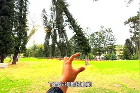 厦门植物园一日游，门票30，景色美不胜收 。视频封面