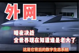 外网：暗夜长空，全世界战机在印巴上空决战视频封面