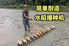 农民自制水稻播种机，简单耐造，效率提升不是一星半点