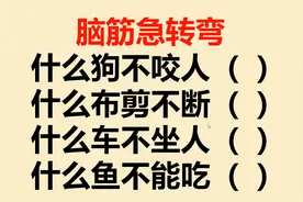 脑筋急转弯：什么狗不咬人？什么布剪不断？什么车不坐人？