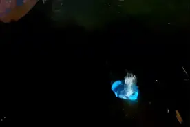 福建平潭游客买石头扔海赏玩“蓝眼泪”，当地文旅：不允许视频封面